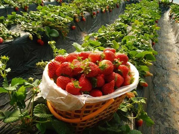 圖片關(guān)鍵詞 圖片關(guān)鍵詞