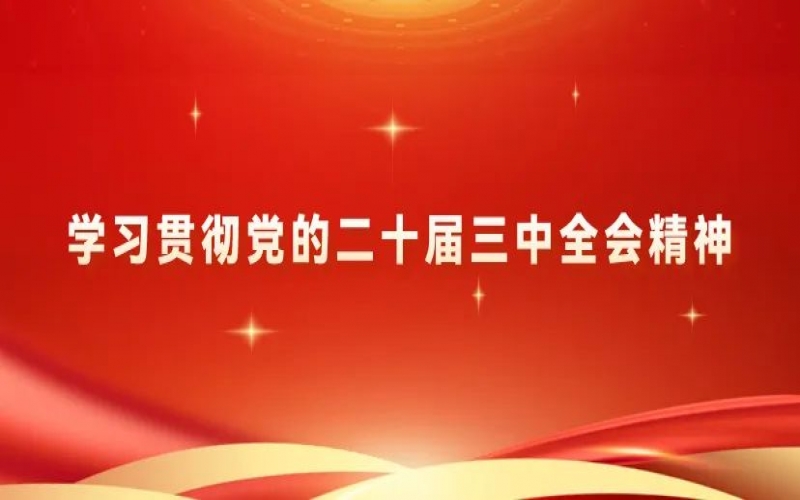 黨建陣地 - 榮程集團黨員干部學習貫徹黨的二十屆三中全會精神體會交流（四）